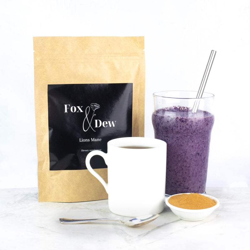 Lion's Mane 100g - Nootropics